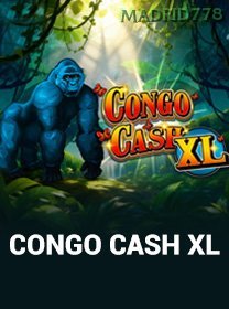 Congo Cash XL