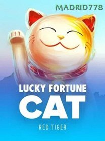 Lucky Fortune Cat